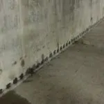 Энергетиков эластичка_00025